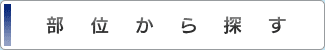 部位から探す